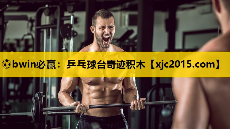⚽bwin必赢：乒乓球台奇迹积木