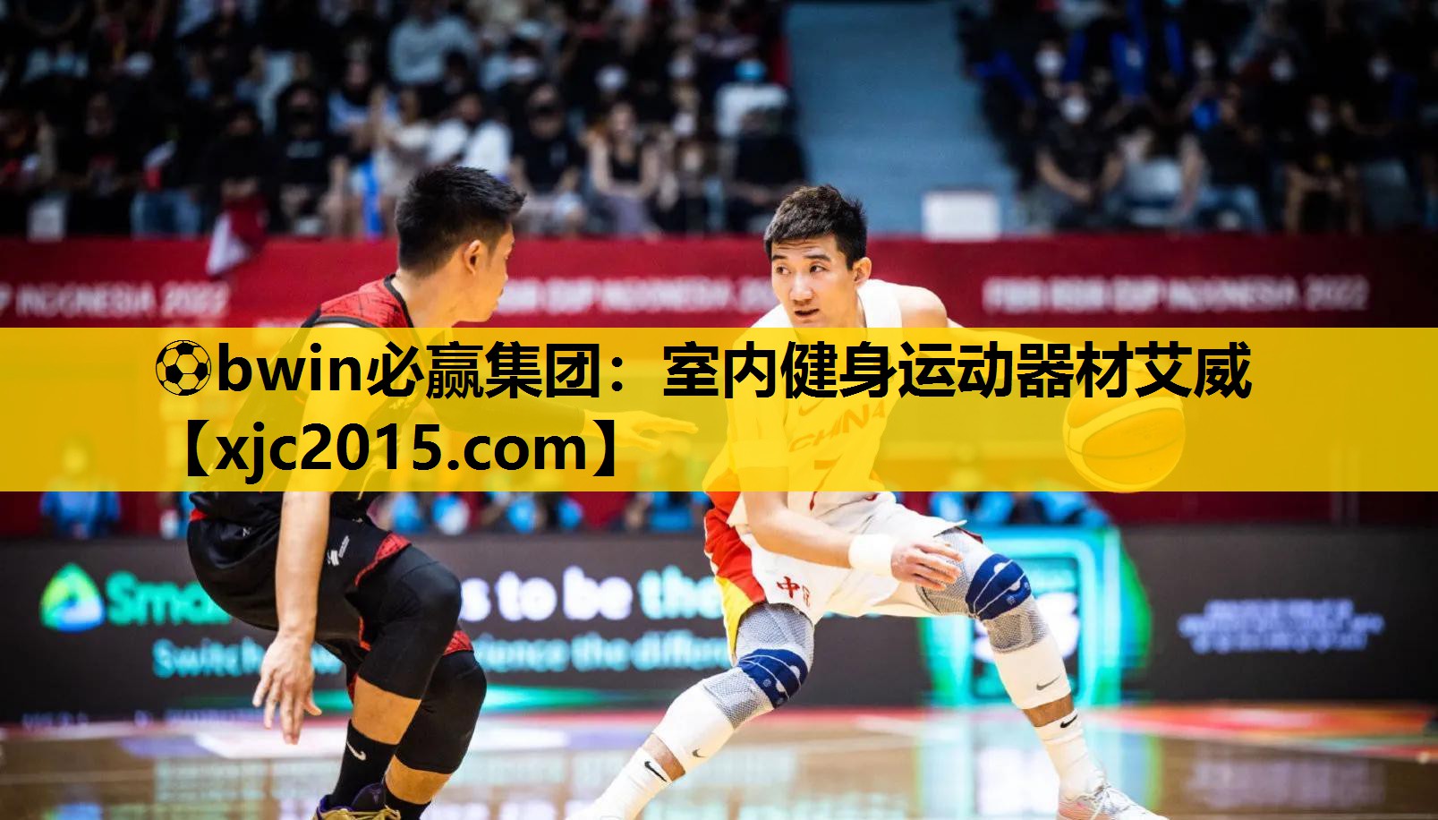 ⚽bwin必赢集团：室内健身运动器材艾威