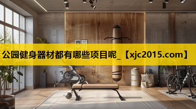 公园健身器材都有哪些项目呢_