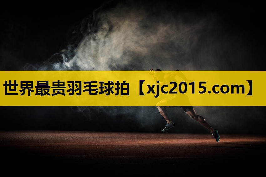 世界最贵羽毛球拍