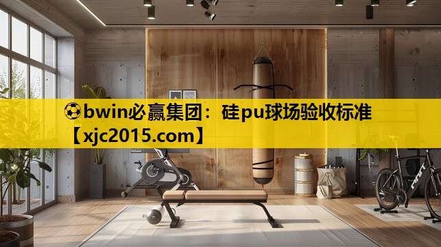 硅pu球场验收标准