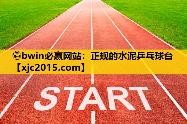 正规的水泥乒乓球台