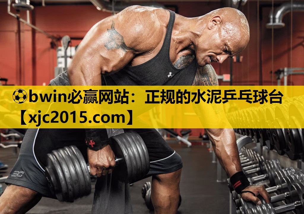 正规的水泥乒乓球台