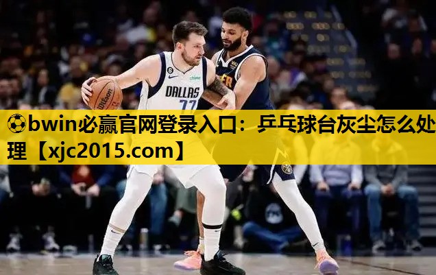 乒乓球台灰尘怎么处理