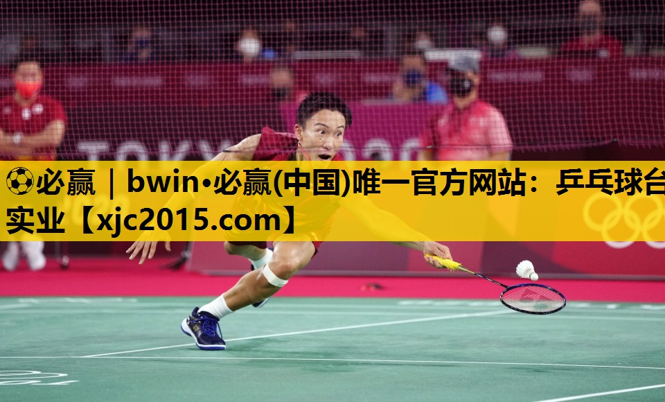 乒乓球台实业