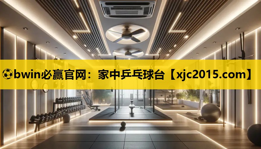 家中乒乓球台