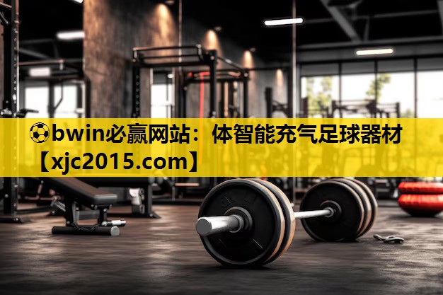 体智能充气足球器材