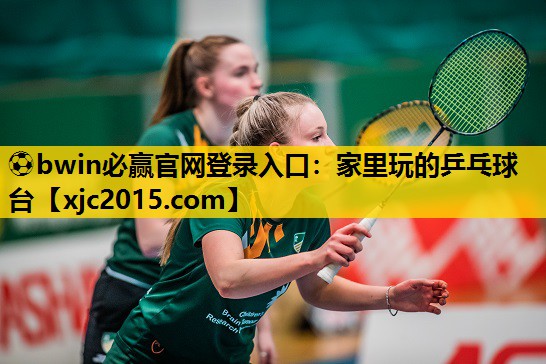 家里玩的乒乓球台
