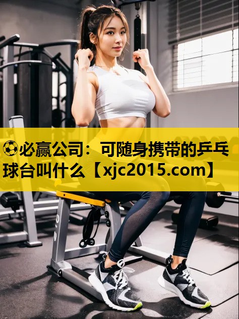 可随身携带的乒乓球台叫什么