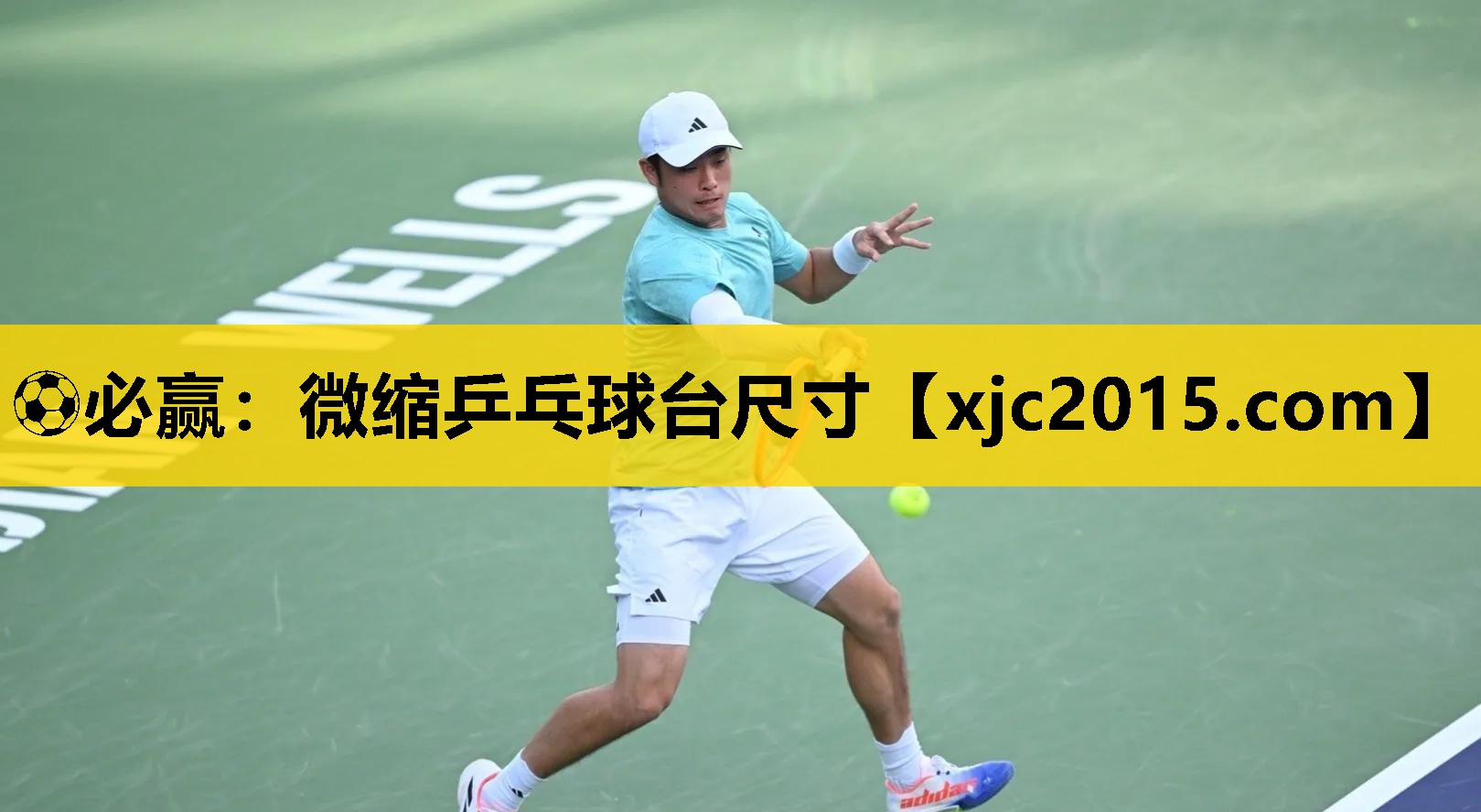 微缩乒乓球台尺寸