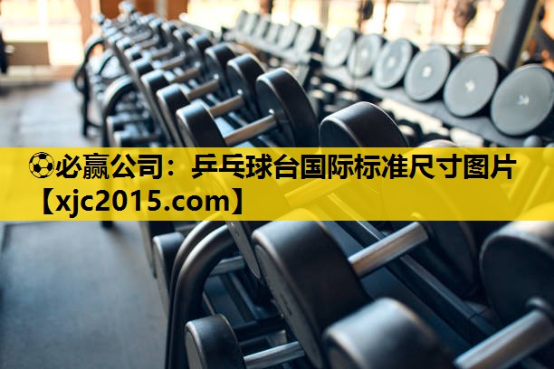 乒乓球台国际标准尺寸图片