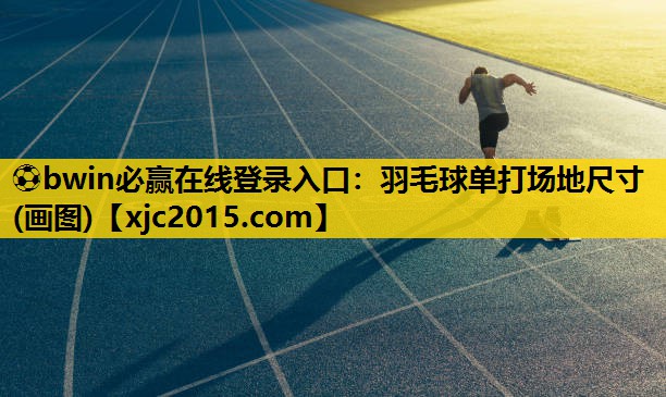 羽毛球单打场地尺寸(画图)