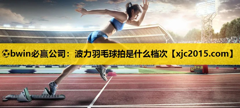 波力羽毛球拍是什么档次