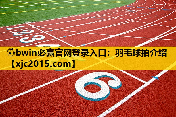 羽毛球拍介绍